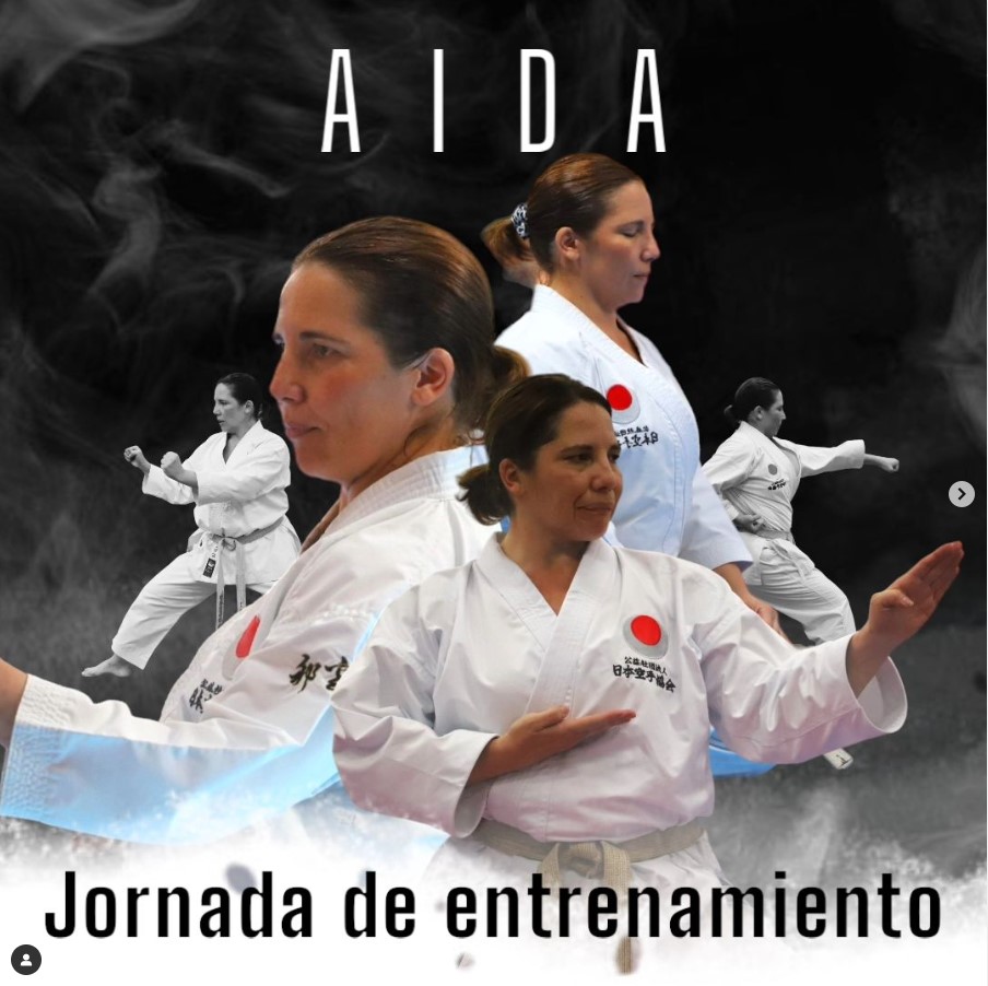 JORNADA DE ENTRENAMIENTO AIDA